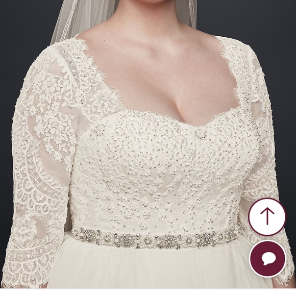 Ivory Plus Size Wedding Gown David's Bridal Size 22W - Picture 8 of 10